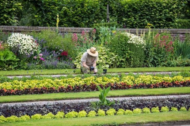 Quels sont les tarifs d’un jardinier à domicile ?