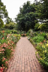 Créer un Jardin Élégant