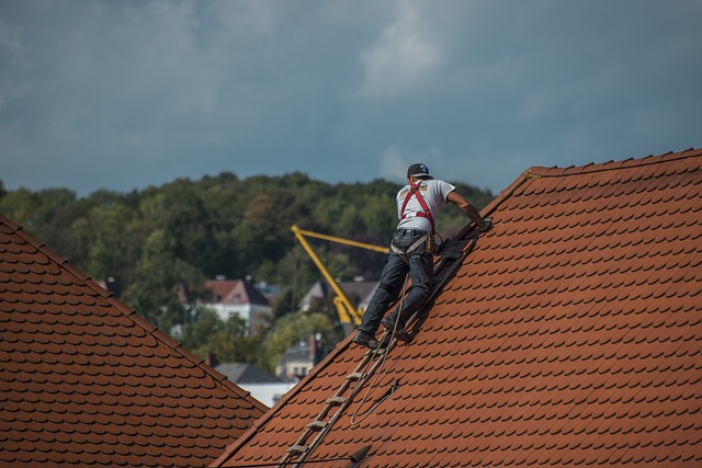 Artisan couvreur des toits : Maestro de la rénovation au sommet