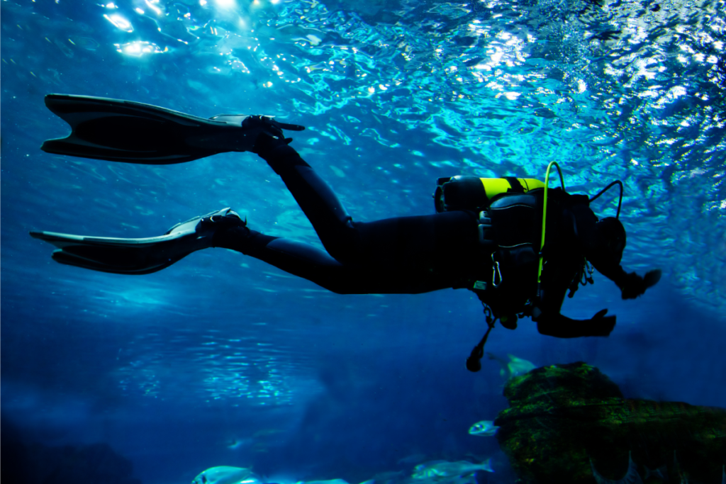 un plongeur au fond de la mer avec son équipement